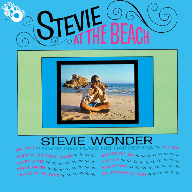 Stevie At The Beach